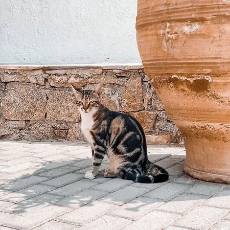 Апарт-отель Konstantin &