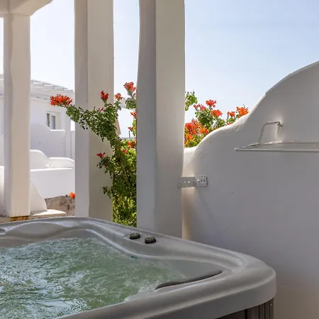 公寓式酒店 Konstantin Mykonos Town