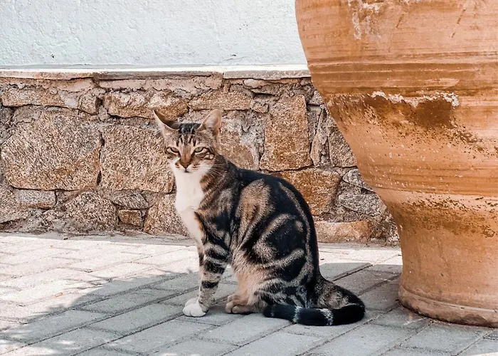 Aparthotel Konstantin &