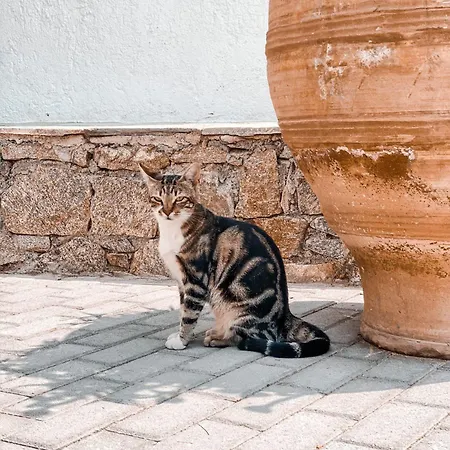 Konstantin Апарт-отель Mykonos Town